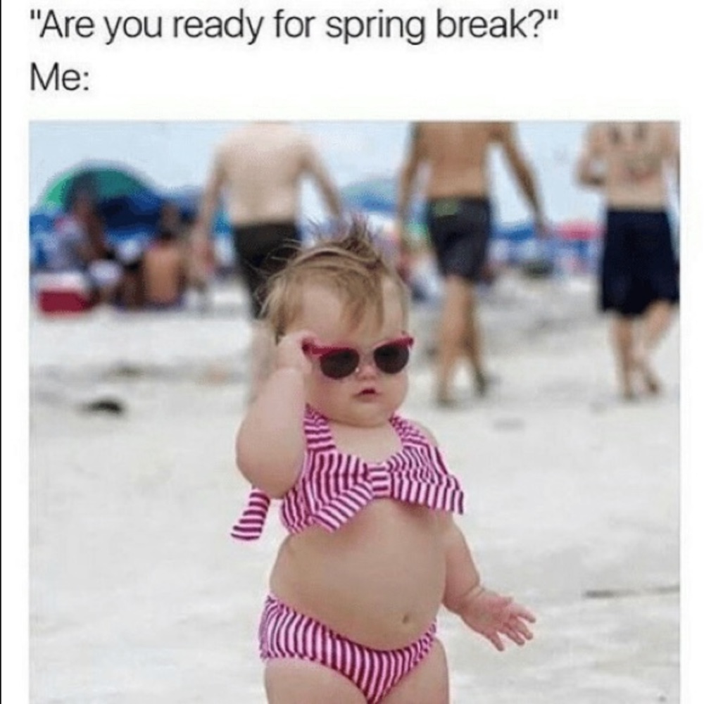 Bikinis GOTTA GO 😛😋